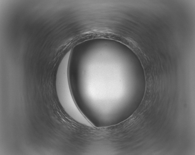 X0000056351110200508260912
