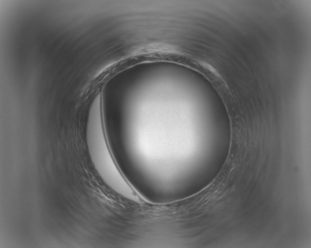X0000056351112200508260912