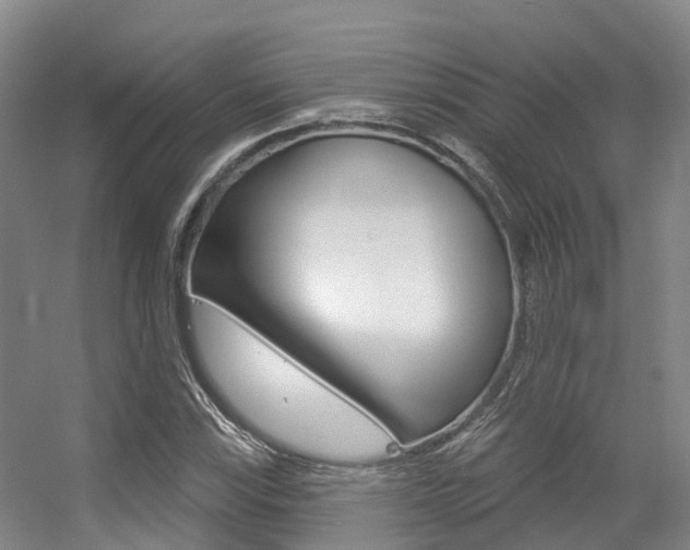 X0000056351115200508260913