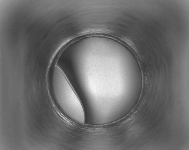 X0000056351119200508260913