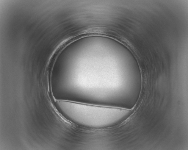X0000056351123200508260913