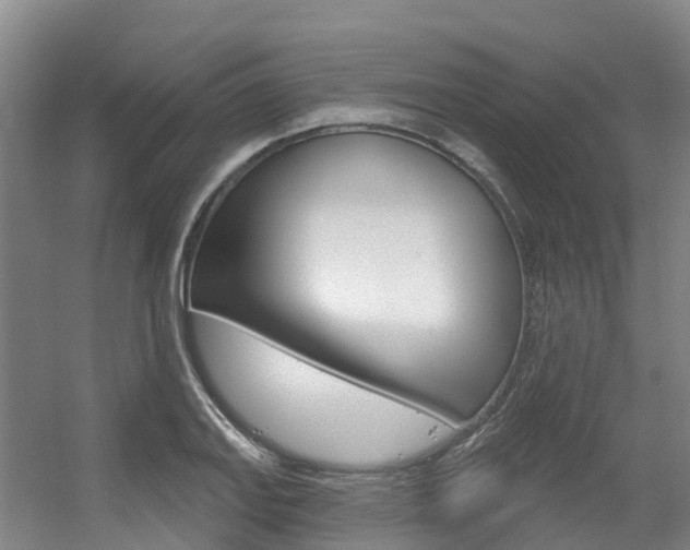 X0000056351127200508260913