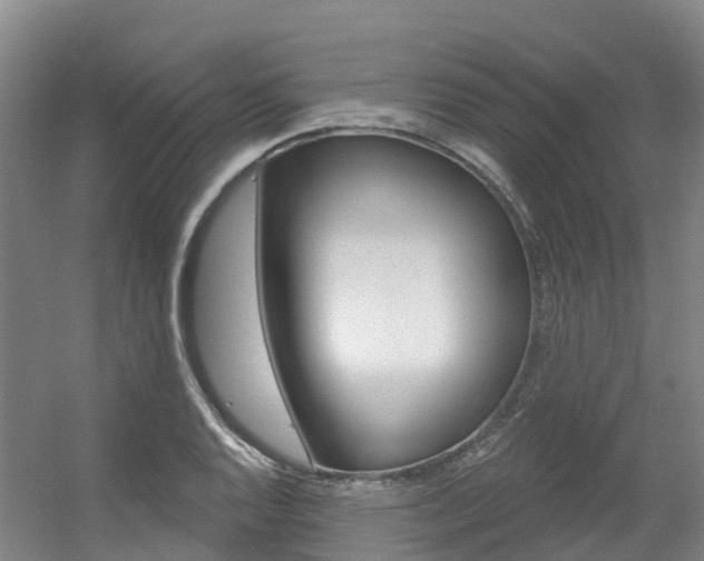 X0000056351128200508260913