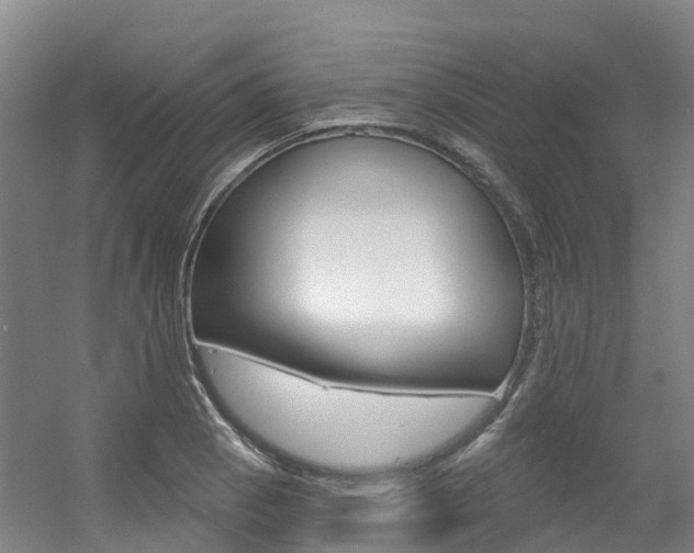 X0000056351129200508260913