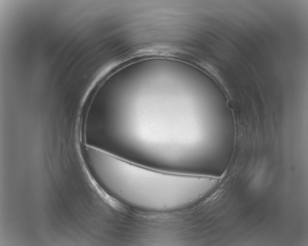 X0000056351131200508260913