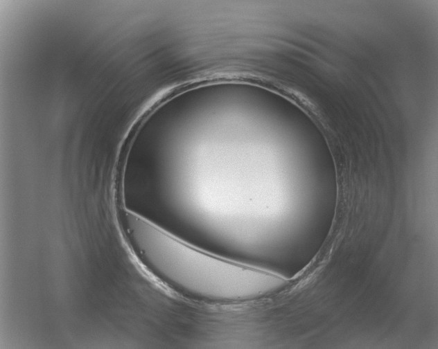 X0000056351134200508260913