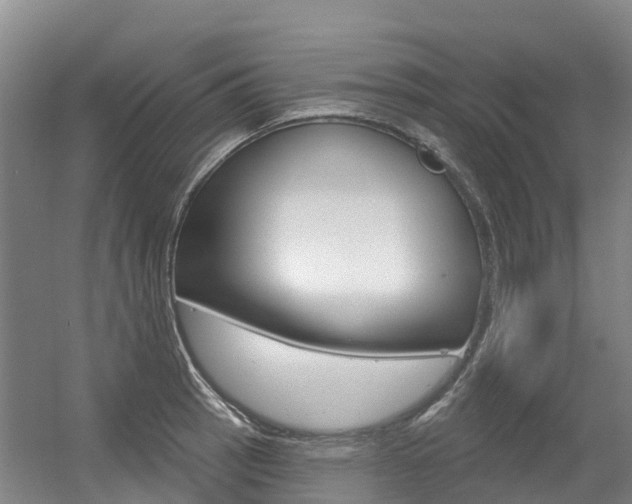 X0000056351137200508260913