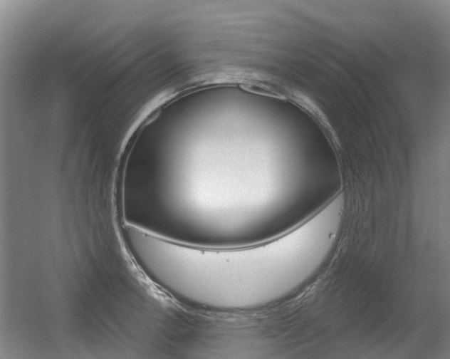 X0000056351138200508260913