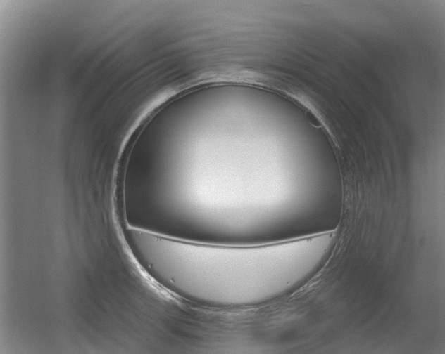 X0000056351139200508260913