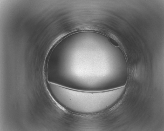 X0000056351141200508260913