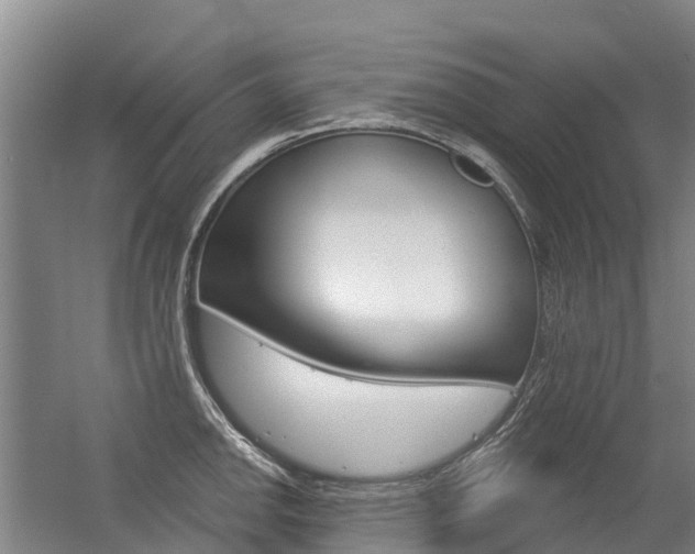 X0000056351142200508260913
