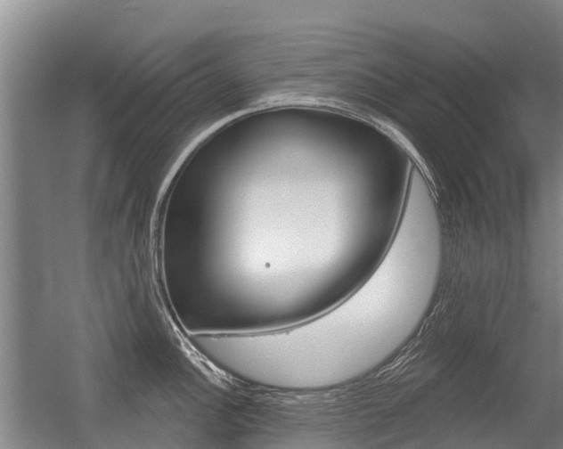 X0000056351148200508260913