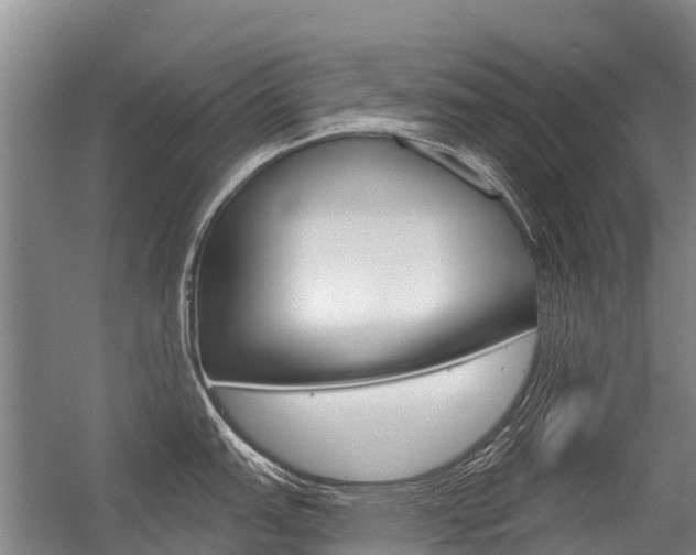 X0000056351151200508260913