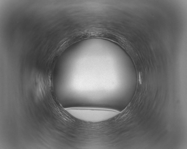 X0000056351155200508260912