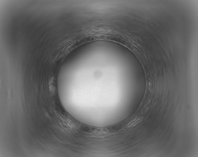 X0000056351156200508260912