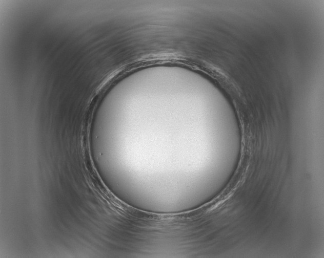 X0000056351162200508260912