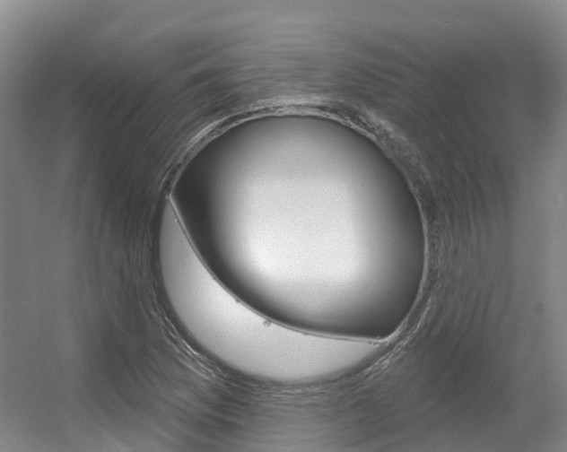 X0000056351169200508260912