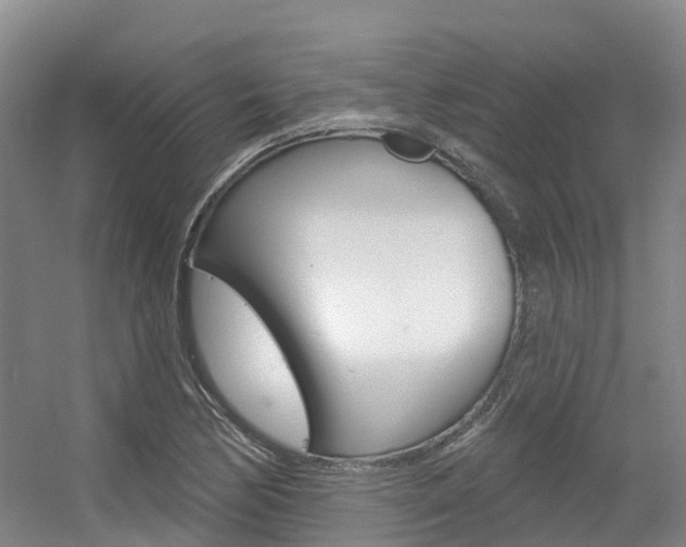 X0000056351170200508260912