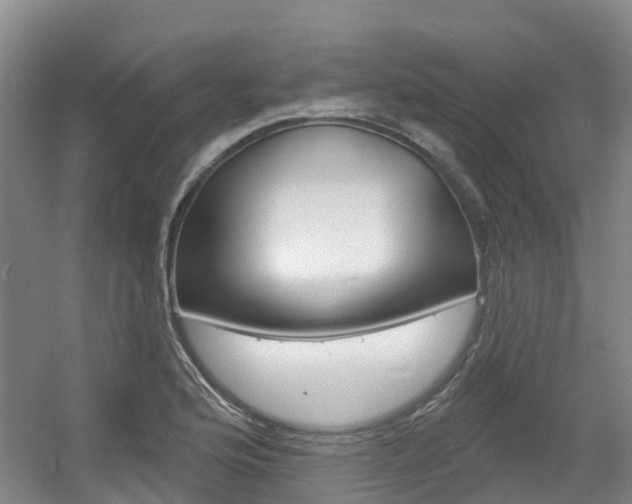 X0000056351176200508260912