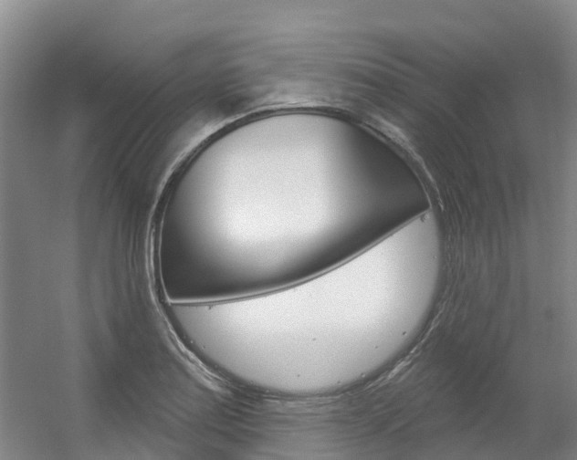 X0000056351179200508260912