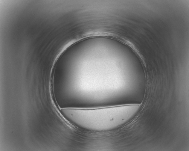 X0000056351187200508260912