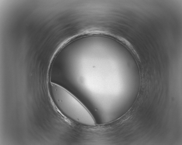 X0000056351191200508260912