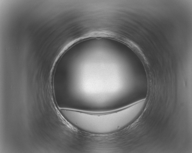X0000056351192200508260912