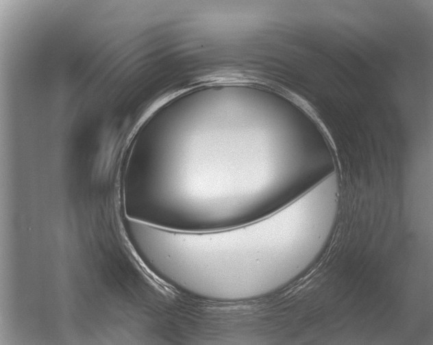 X0000056351195200508260912
