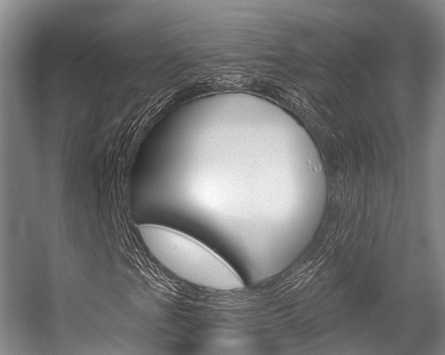 X0000056351201200508260911