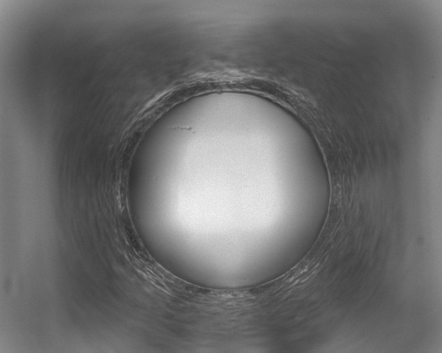 X0000056351205200508260911