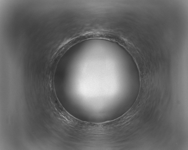 X0000056351206200508260911