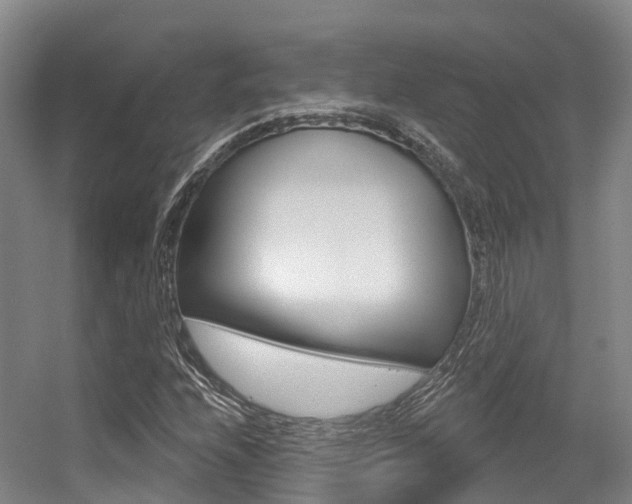 X0000056351208200508260911