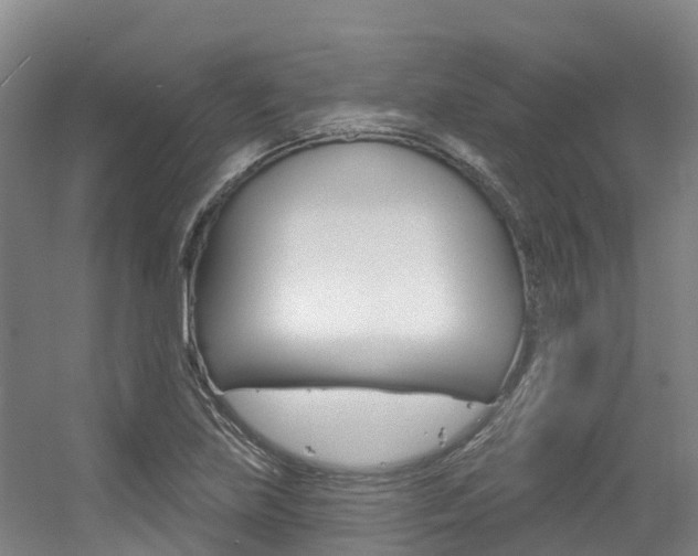 X0000056351219200508260911
