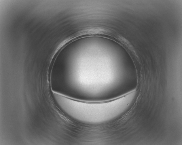 X0000056351226200508260911
