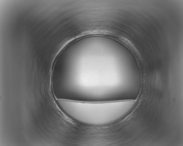 X0000056351228200508260911