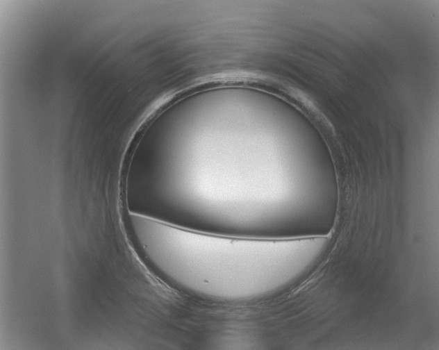 X0000056351229200508260911