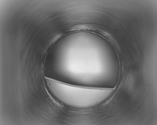 X0000056351233200508260911