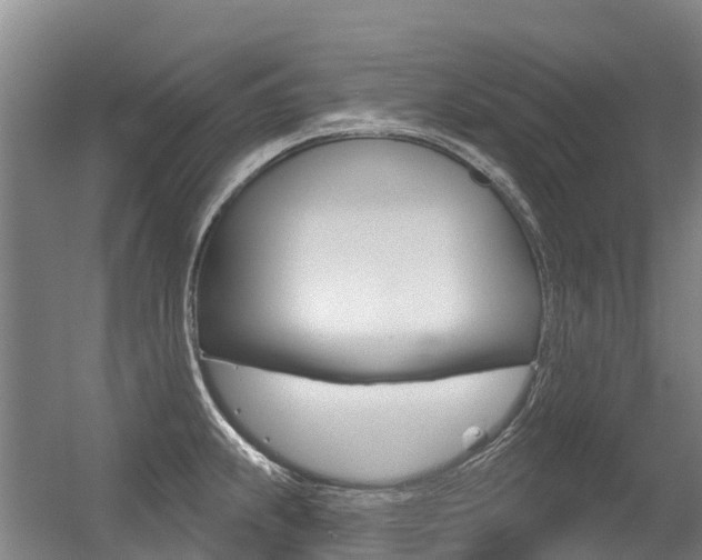 X0000056351239200508260911