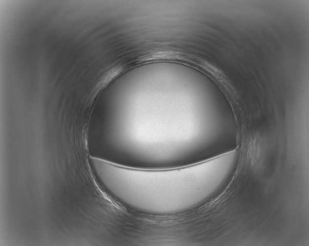 X0000056351241200508260911