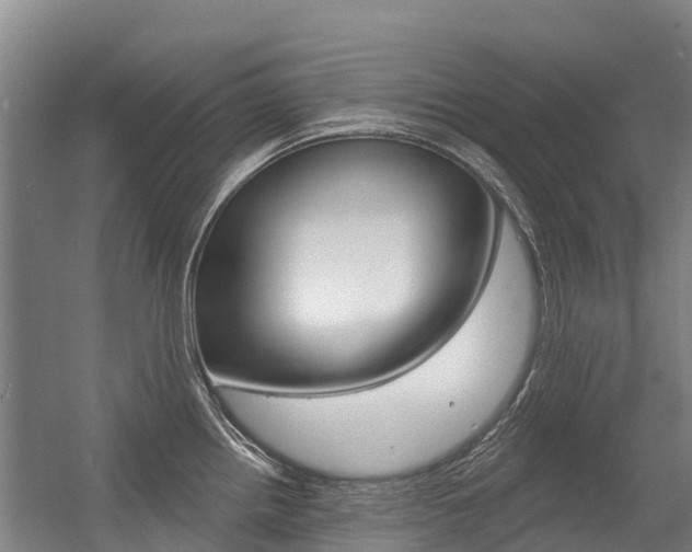 X0000056351242200508260911