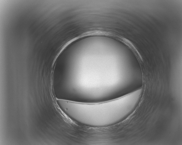 X0000056351244200508260911