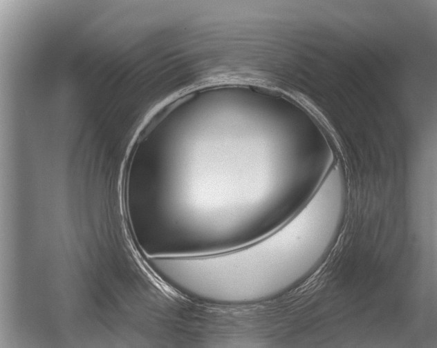 X0000056351246200508260911