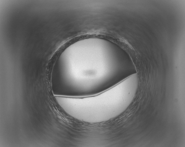X0000056351256200508260911
