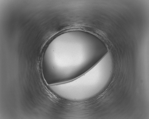 X0000056351260200508260911