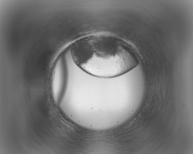 X0000056351263200508260910