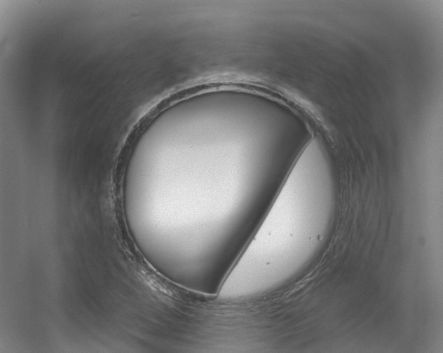 X0000056351264200508260910