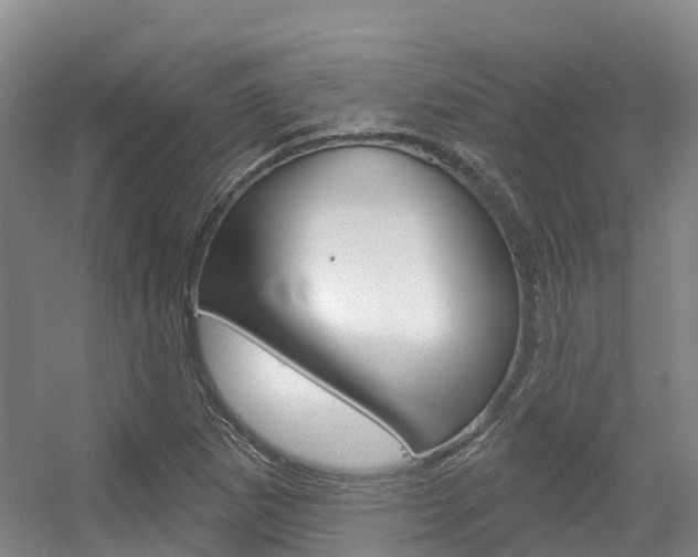 X0000056351265200508260910