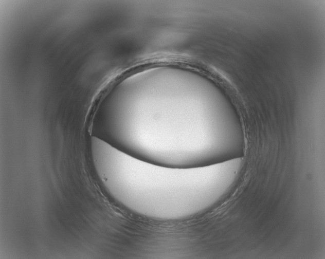 X0000056351267200508260910