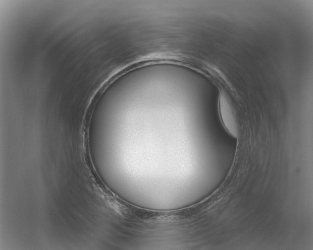 X0000056351268200508260910