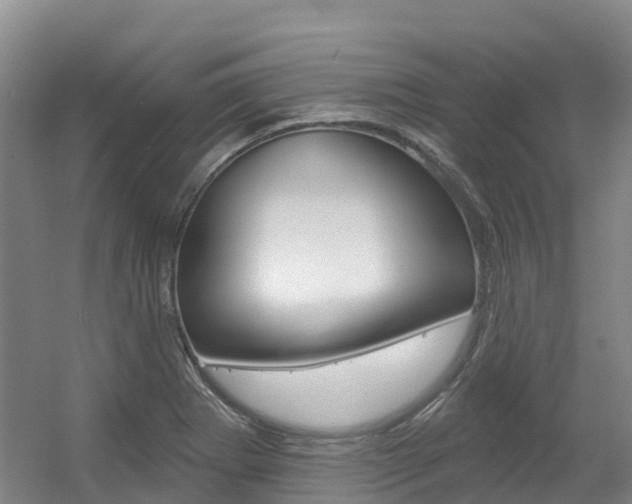 X0000056351273200508260910